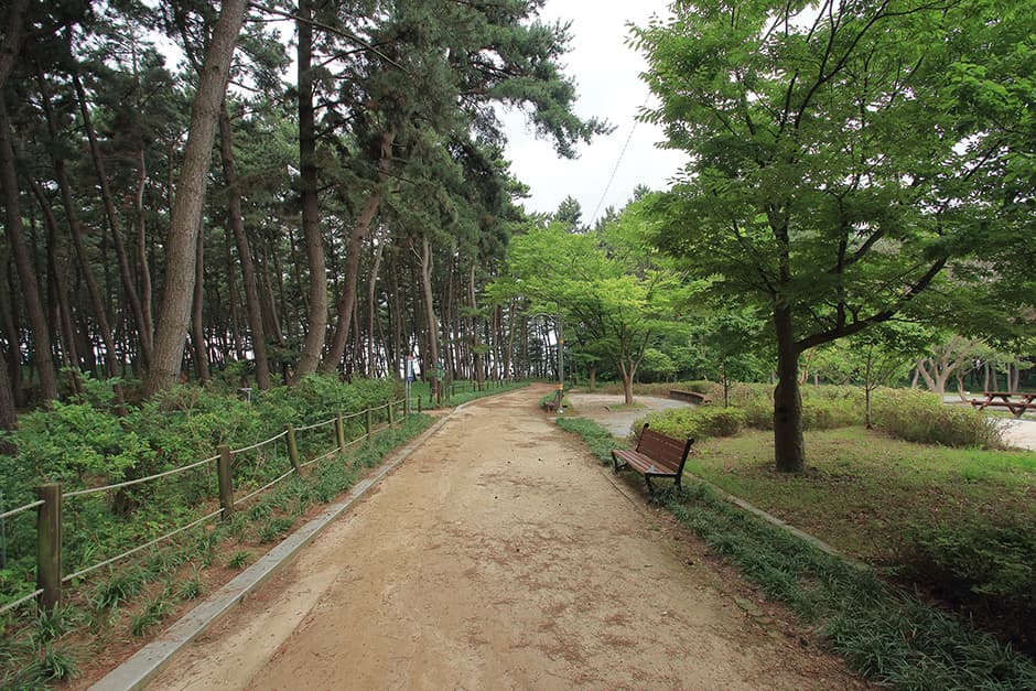 솔바람캠핑장