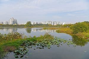 Manseokgeo Park (만석거공원)