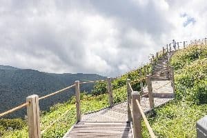 어승생