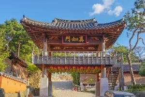 달마사(서울)