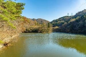 세량지