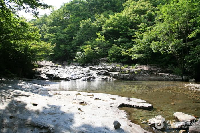 Unjangsan National Recreational Forest (국립 운장산자연휴양림)