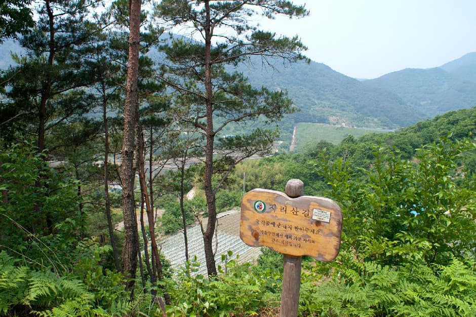 [지리산둘레길] 하동읍~서당