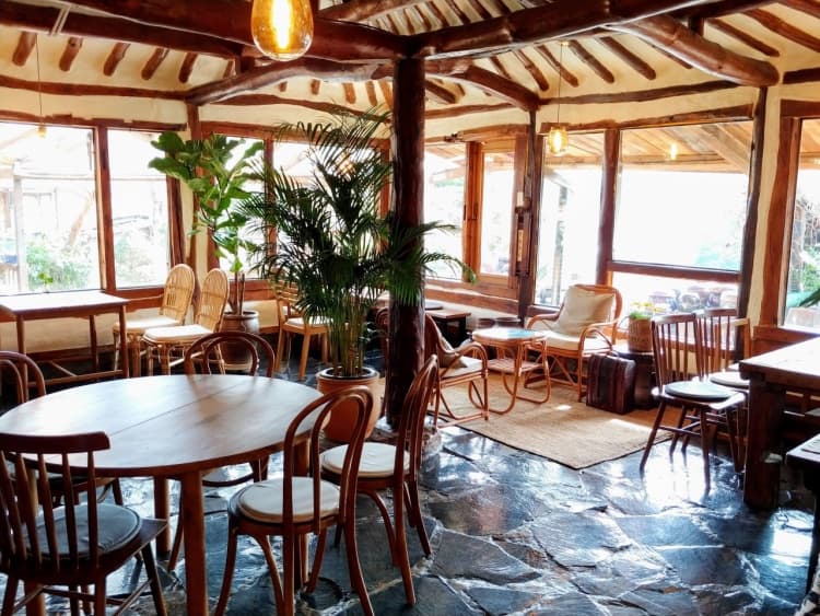 오후의 산책