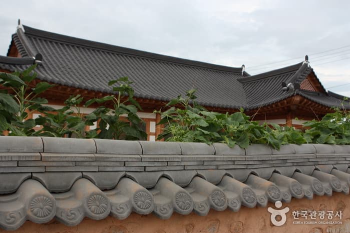 월출산의 기를 받으며 힐링해 볼까?
