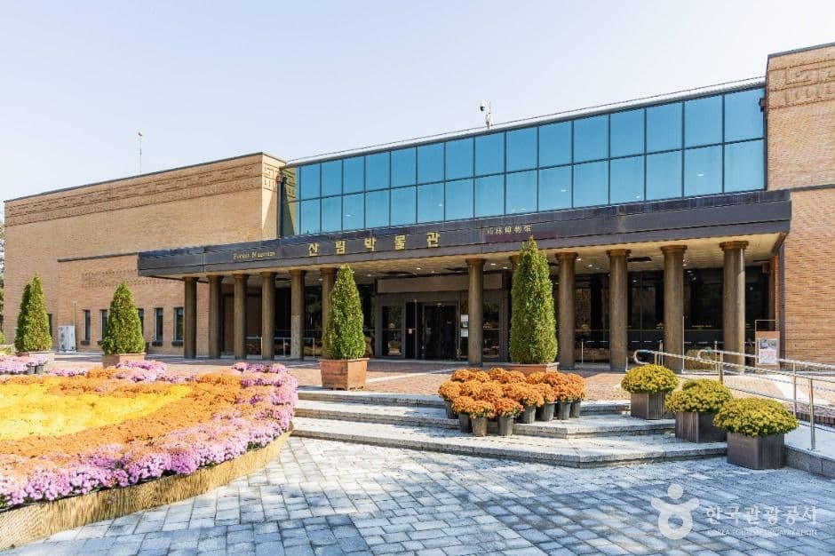 강원특별자치도산림박물관