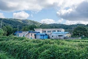 남당리 행복마을