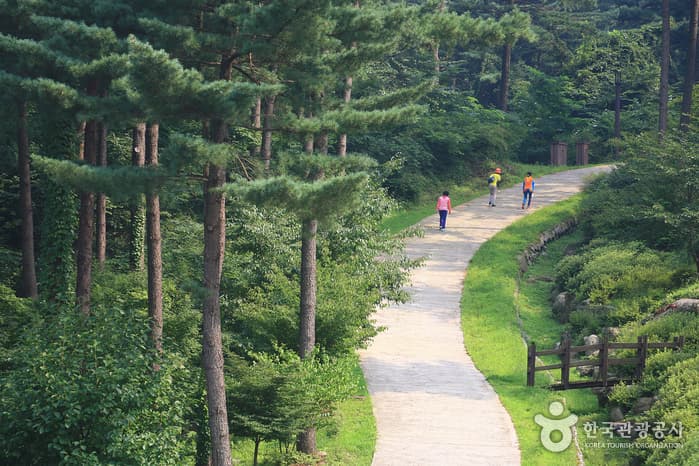 Jatyanggi Purunsup Resort (잣향기푸른숲)