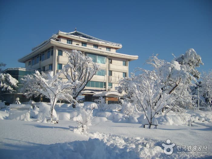 (주)척산온천휴양촌
