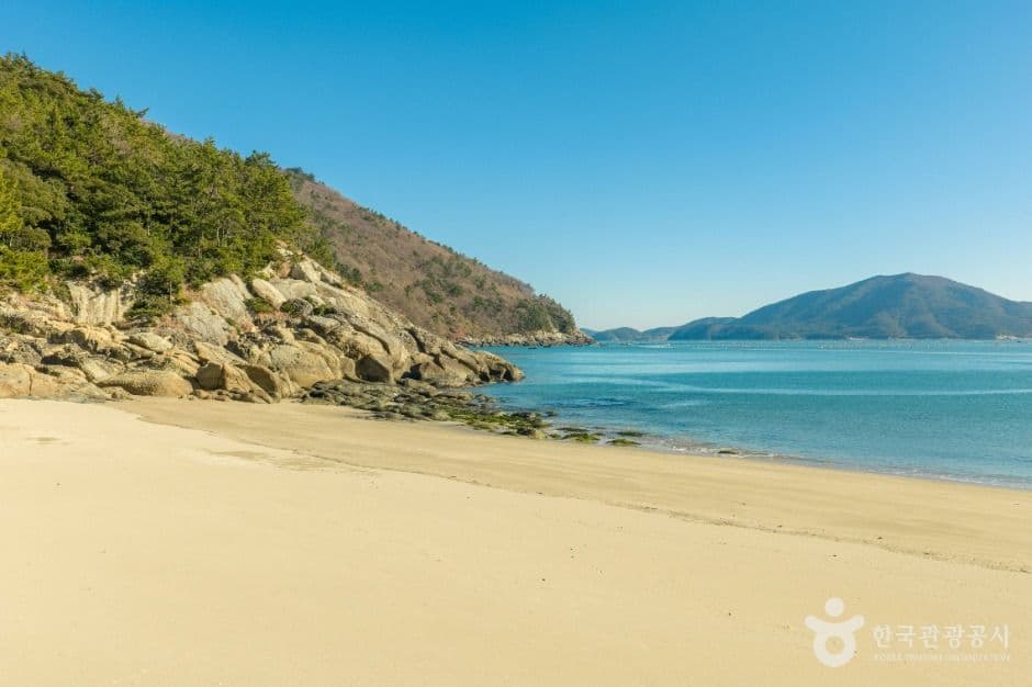 가사동백숲해변