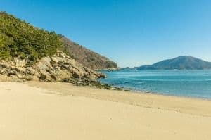 가사동백숲해변