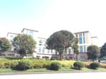 The Ocean Resort  (디오션리조트)