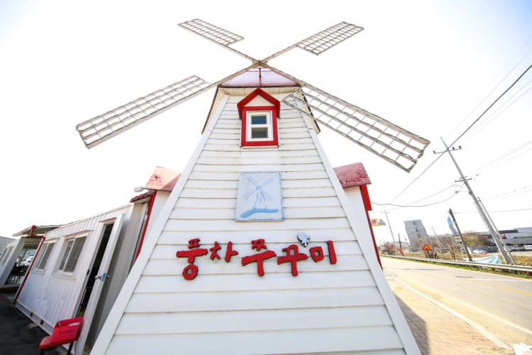 풍차쭈꾸미
