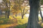 Supjaengi Garden (숲쟁이공원)