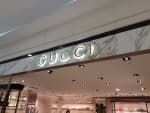 Gucci - Lotte Busan Branch [Tax Refund Shop] (구찌 롯데 부산점)