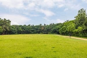 대학공원