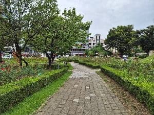 Photo 4