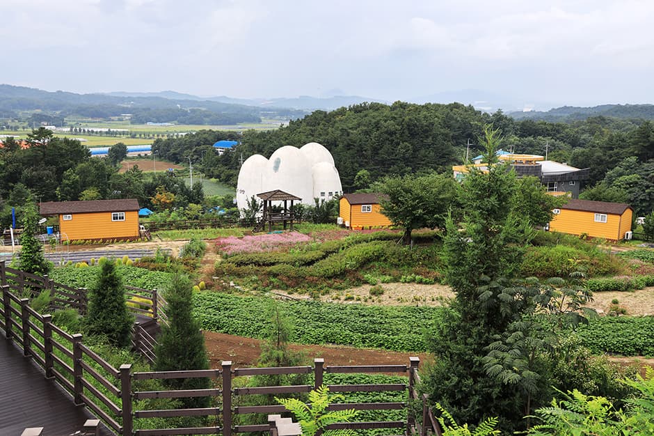 이천농업테마공원국민여가캠핑장