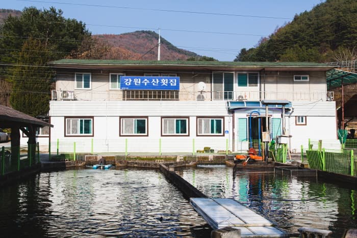 강원수산횟집