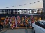 백운메밀