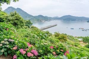 힐링파크 쑥섬쑥섬(애도)