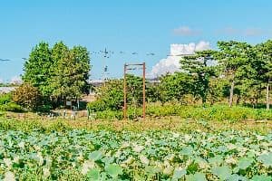 달맞이공원