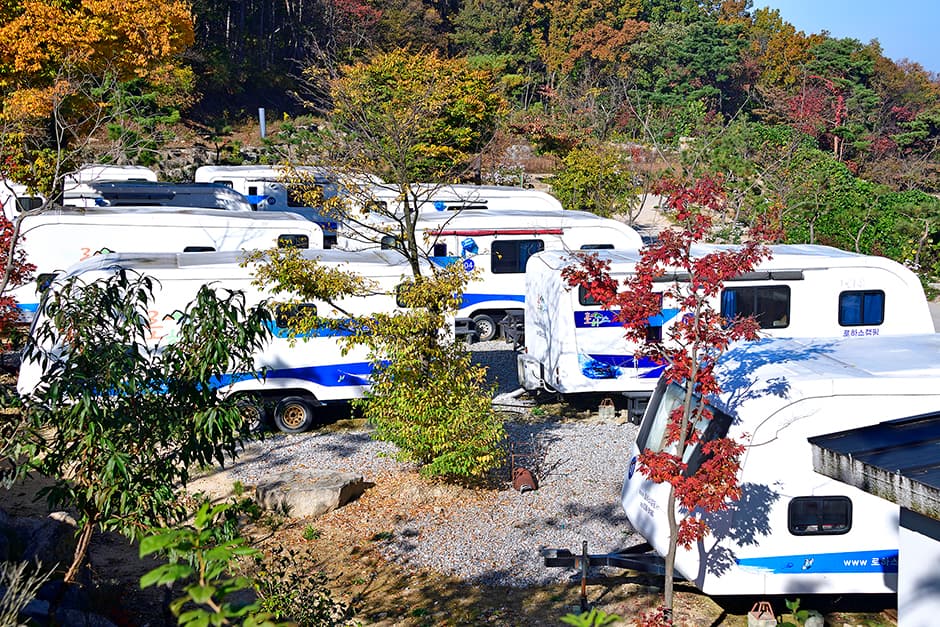 로하스캠핑장