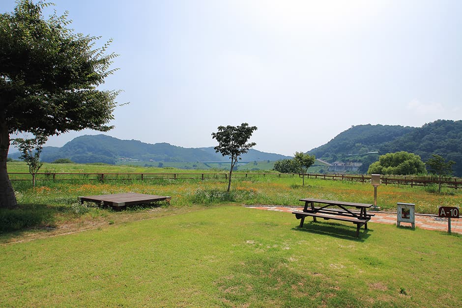 청양 동강리 오토캠핑장