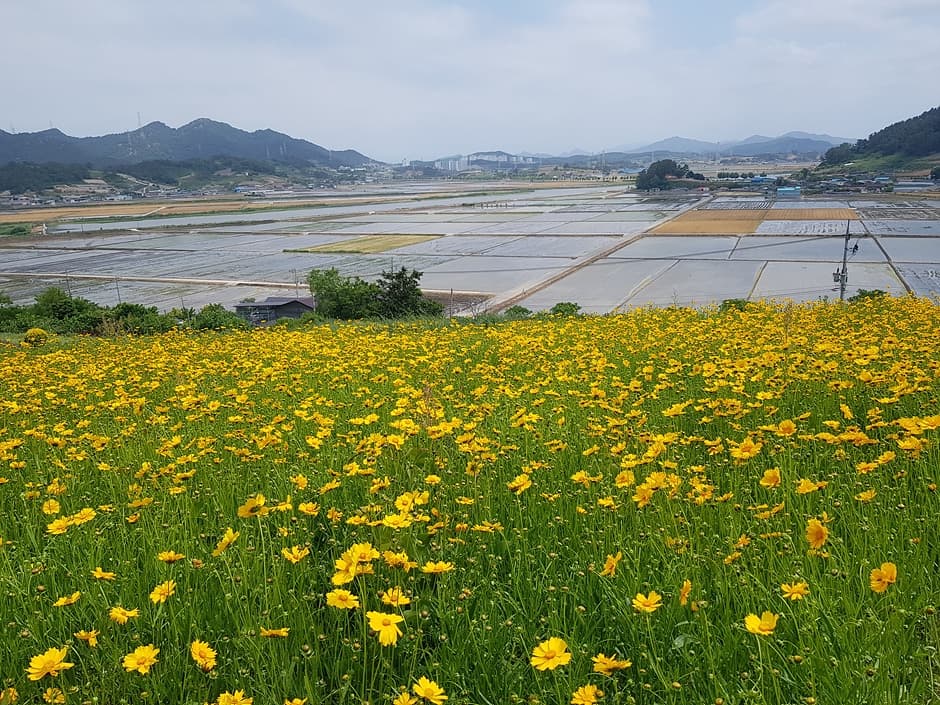 숲쟁이꽃동산