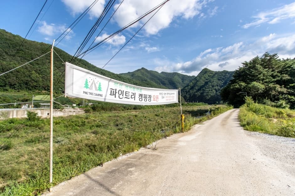 파인트리 캠핑장