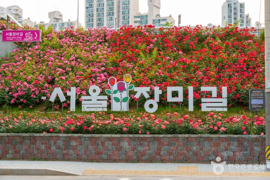 중랑장미공원