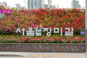 중랑장미공원