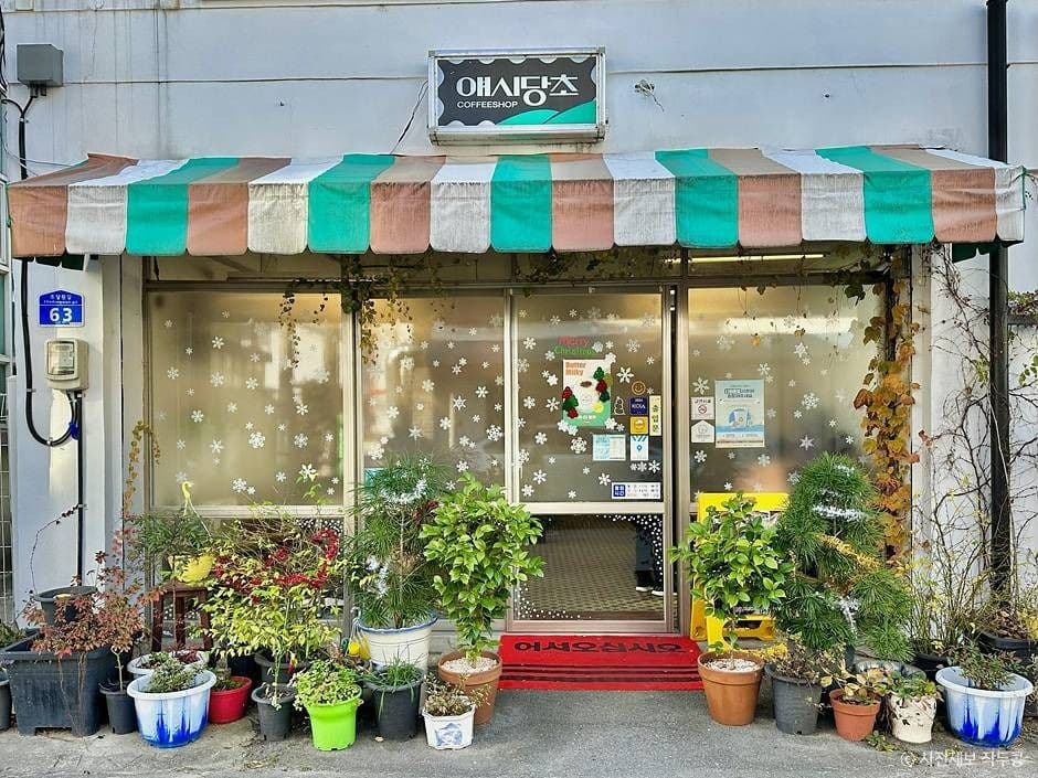 애시당초