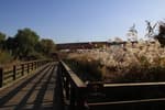 Gangseo Marsh Ecological Park (강서습지생태공원)