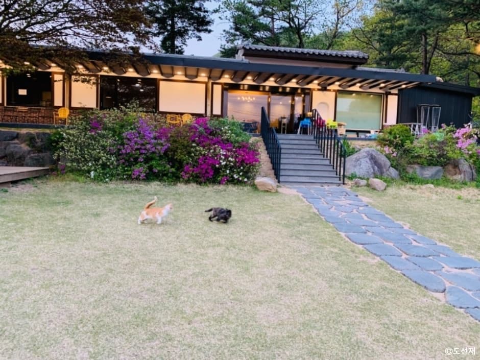 도선재