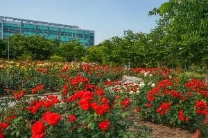 신서 중앙공원