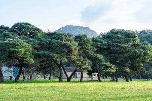 구송정 유원지