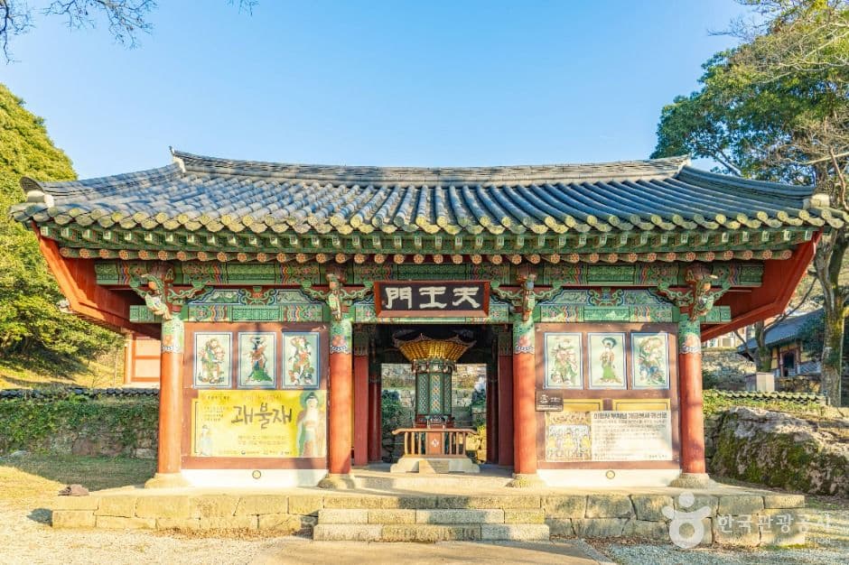 달마고도