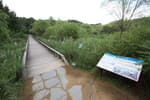 Gildong Ecological Park (길동생태공원)
