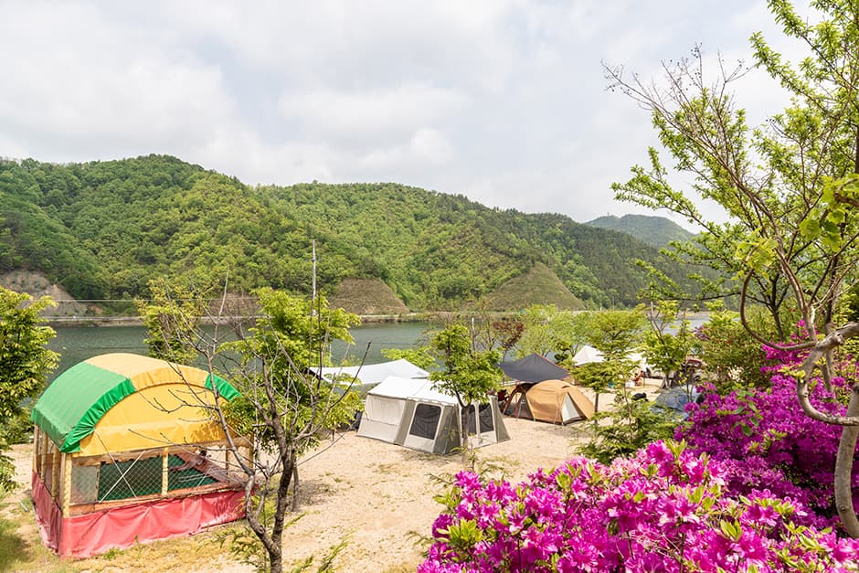 마로니에숲캠핑장