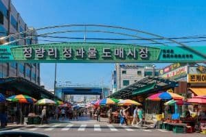 청량리청과물시장