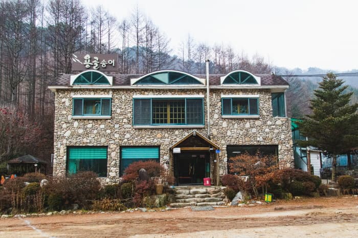 용골송어회