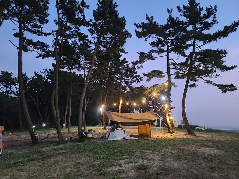 마검포태안캠핑장