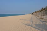 Yeongokhaebyeon Beach (Yeongok Beach) (연곡해변(연곡해수욕장))