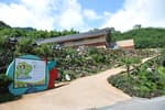 Cheong Maesil Farm (홍쌍리 청매실농원)