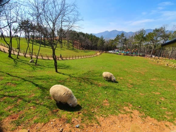 거제도 일상 회복 청춘 투어, 지친 나를 위로하고 치유하는 여행