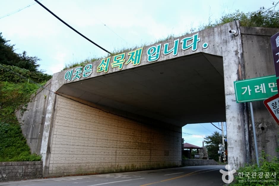 쇠목재