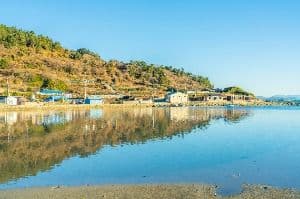 신흥해수욕장