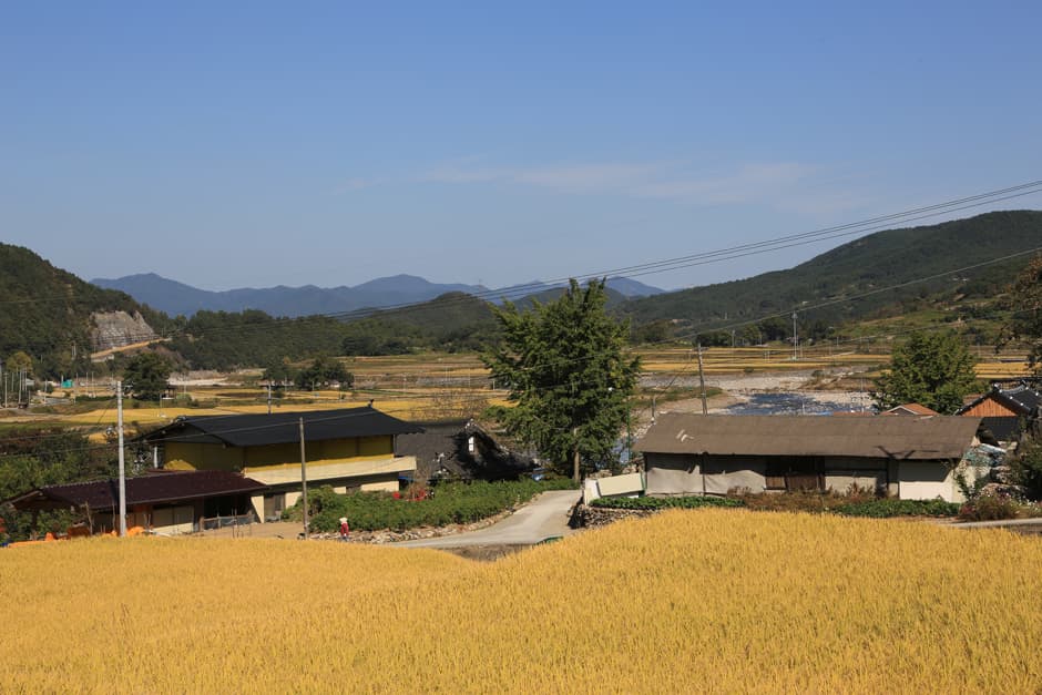 동강마을