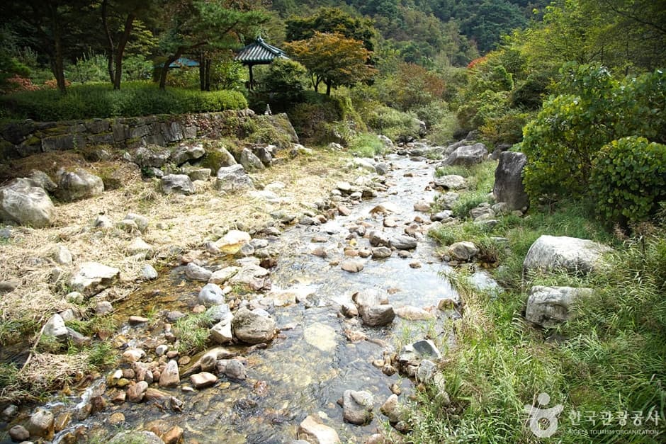 Geumdaegyegok Valley (금대계곡)